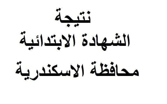 نتيجة الشهادة الابتدائية محافظة الاسكندرية