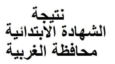 نتيجة الشهادة الابتدائية محافظة الغربية